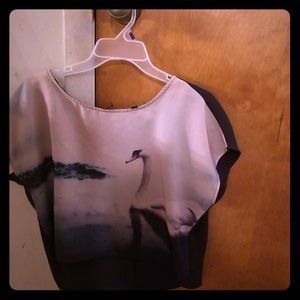 Swan Cropped Blouse